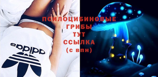 spice Инта