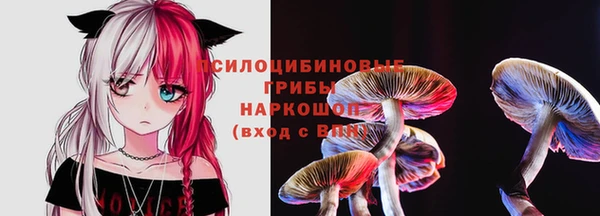 дмт Иннополис
