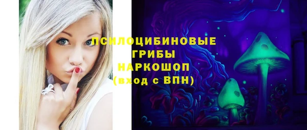 spice Инта