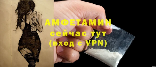 Альфа ПВП Каменка