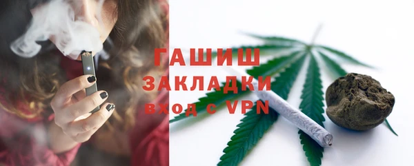 spice Инта