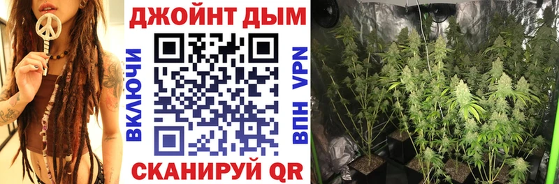 Купить где  Еманжелинск  Конопля гибрид 